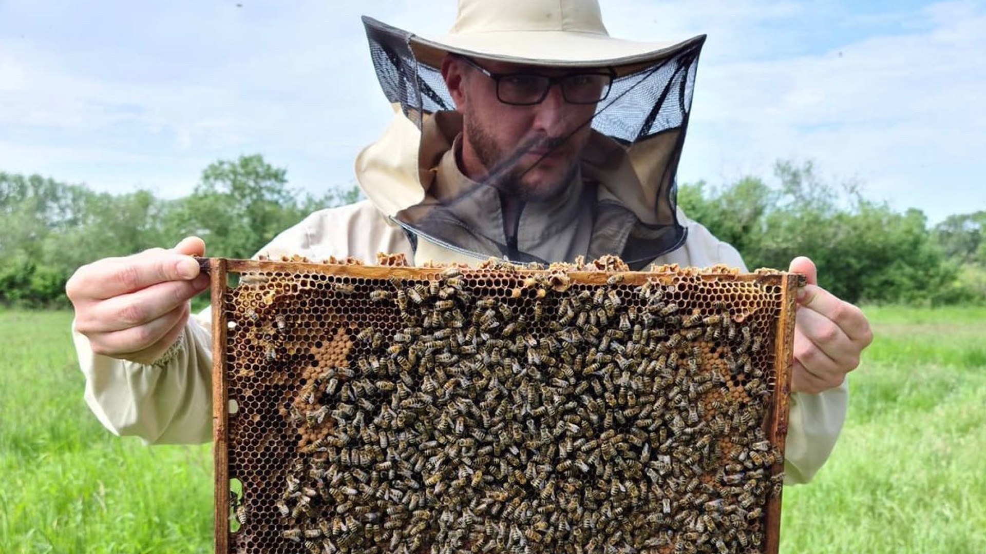 Man in a beekeepr's suit holding a honeycomb